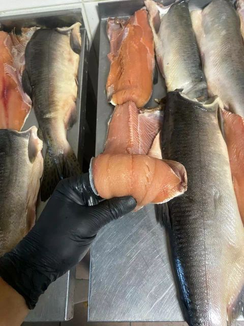 Pink salmon - Image 4