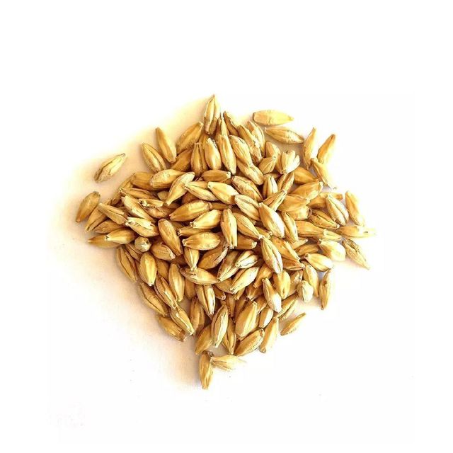 Feed Barley Wholesale Natural Organic First Grade Animal Feed Barley 50 Kg Bag - Image 3