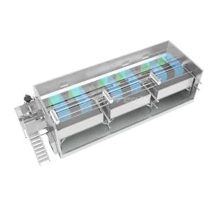 IQF Quick Freezing Equipment 440V 10-150kw 200-6000kgH SUS304 1Y ISO CE - Image 2