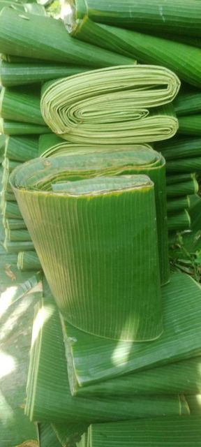 Fresh Banana Leaves - Image 1