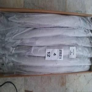 Ribon fish - Image 2