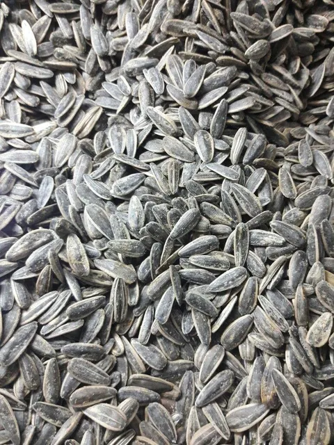 Top Quality Roasted Sunflower Seed For Wholesale Distribution Featuring Crunchy Large Sunflower Seed Kernels - Image 4