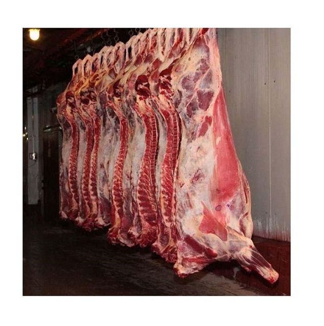 Fast delivery frozen pork carcass for bulk purchasing export trade and commercial supply - Image 4