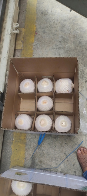 Diamond Shape Fresh Coconuts Origin Vietnam Shape Diamond Shape Packaging 9 Coconuts/Box Degree of Processing Fresh Flavor Natural Coconut Flavor - Image 1