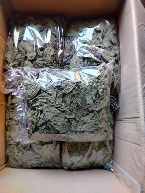molokhia Packaging 25kg Flavor Mild, Earthy Color Vibrant Green Place of Origin Egypt Form Finely Dried Green Leaves Cuisine Egyptian And Middle Eastern Cuisine - Image 1