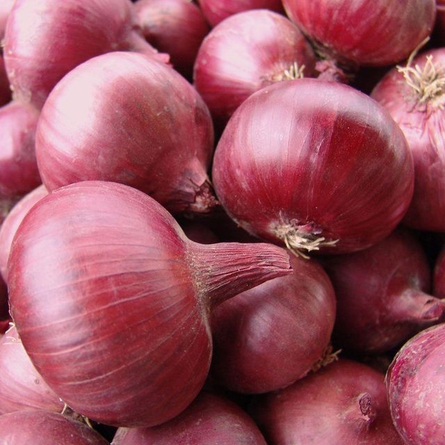 Fresh Onion Red And White Varieties Rich In Nutrients Ideal For Bulk Buyers - Image 4