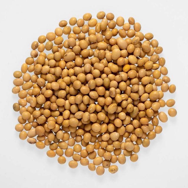 Early Maturing Soybean Seed Fast Growing Soybean Seed Ideal For Multiple Harvests And Efficient Field Management - Image 2