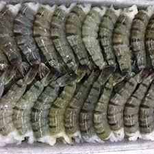 Frozen Fresh Shrimp/Seafood/Black Tiger Prawn Place of Origin THAILAND Form Hoso, Hlso, Pud, P&d Style Fresh, Frozenpeel - Image 3
