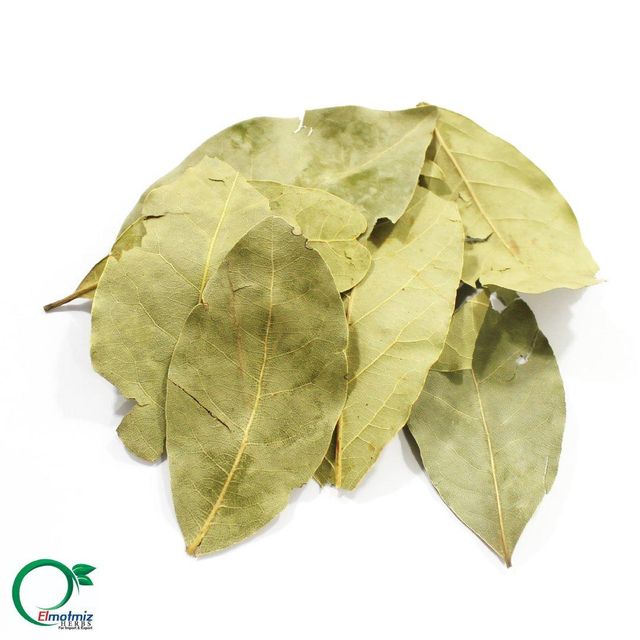 Dried Bay Leaves (Laurel Leaf) – Premium Export Grade, Whole Leaf, Egypt Origin - Image 3