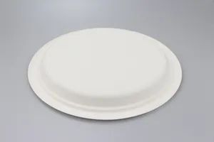 Disposable Bagasse Plate Biodegradable Compostable Sugarcane Tableware Plate - Image 3