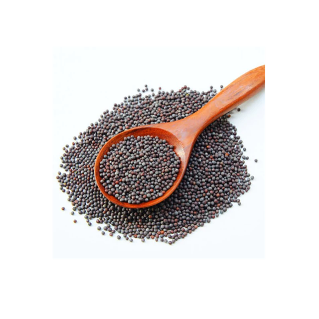 Indian Mustard Organic Spices & Herbs Dried Spices U2U312-UAthvikaSpice High Quality Pure Natural Fresh Black Mustard Seeds - Image 3
