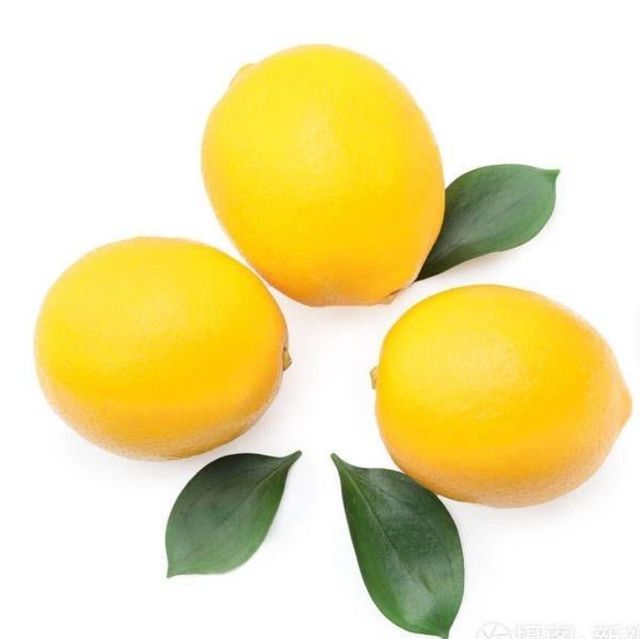Lemon - Image 4