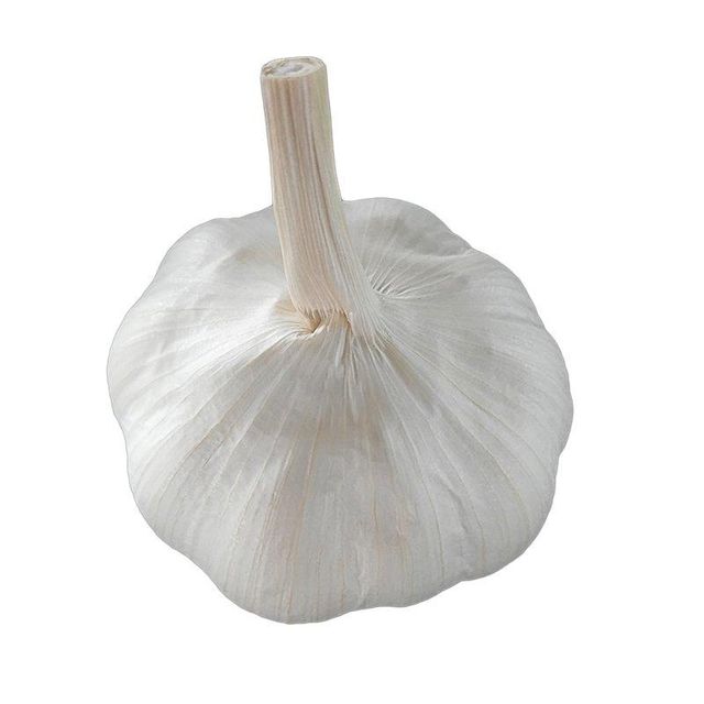 Fresh Organic Garlic - Image 3