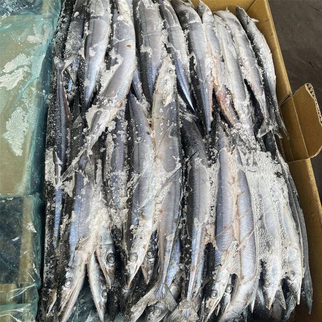Frozen Atlantic Mackerel Fish Ocean Fresh Frozen Seafood Offering For Supermarket Supply And Retail Resellers - Image 3