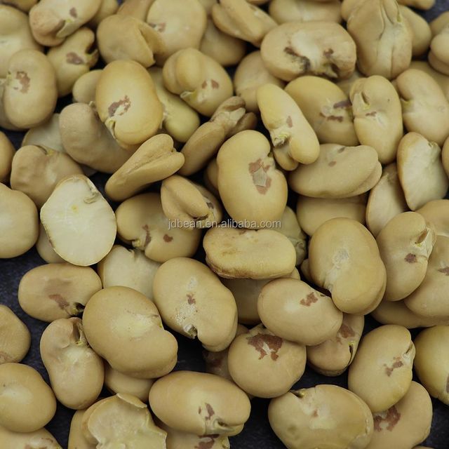 China Origin Peeled Split Fava Beans Dry Broad Bean Without Shell - Image 3