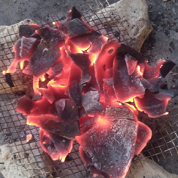 coconut shell charcoal - Image 2