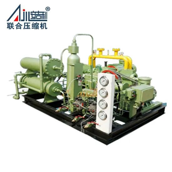 Customizable Multi-Gas Compressor Unit for Natural Gas Hydrogen Biogas LPG CNG Applications - Image 1