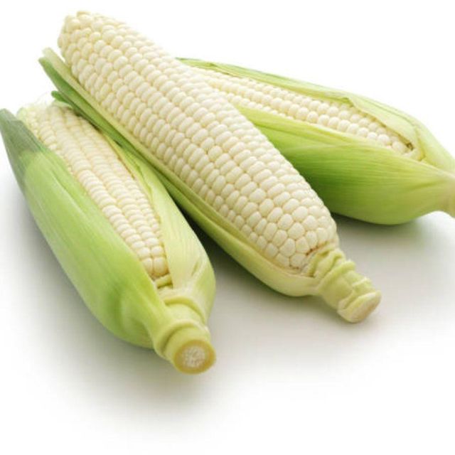 Naturally Processed White Corn For International Grain Importers Offering Kernel Selection And Clean Harvest - Image 4