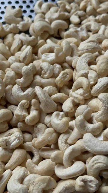 Dried ginger, cashew nut kernel, sesame sead etc... Form Whole Texture Dried Delivery Form Bag Features Fair Trade Price Per Container Usd 5 - Image 4