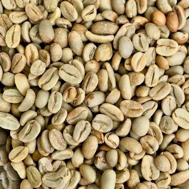 Robusta Green Coffee Beans - Image 3