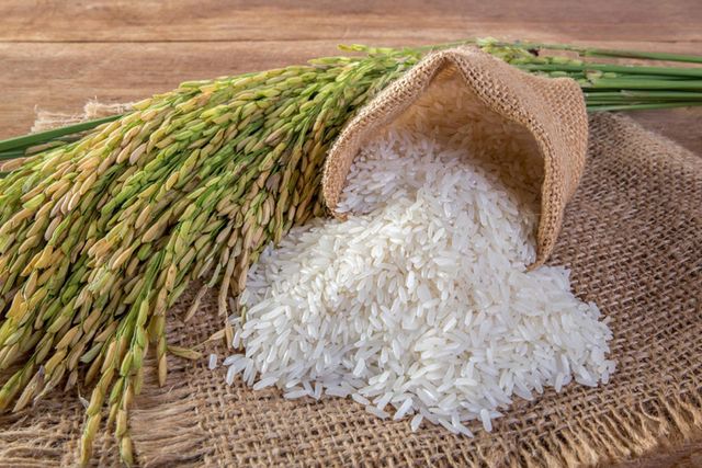 Rice - Image 1