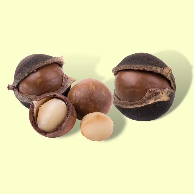 Hot Sale 2021 Macadamia Nut Organic Macca Nuts Granola Nuts Boxes Bag Packaging Cream 100% Natural Raw Vacuum Dried 1 Ton - Image 3