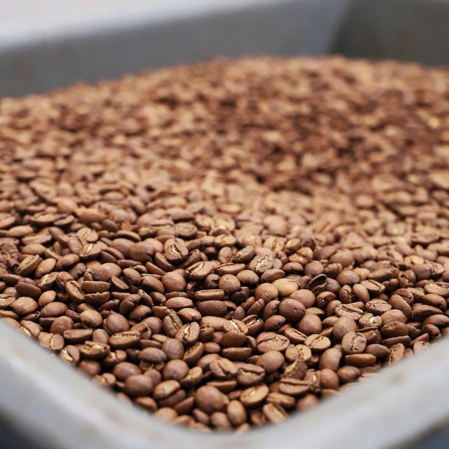 Origin Dried Coffee Export Featuring Arabica Green Coffee Beans With Natural Aroma And Secure Packing - Image 4