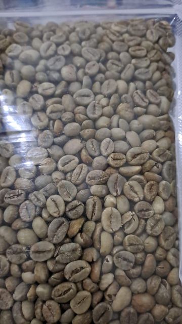Green coffee FINE ROBUSTA G1 & ROBUSTA G1 - Image 3