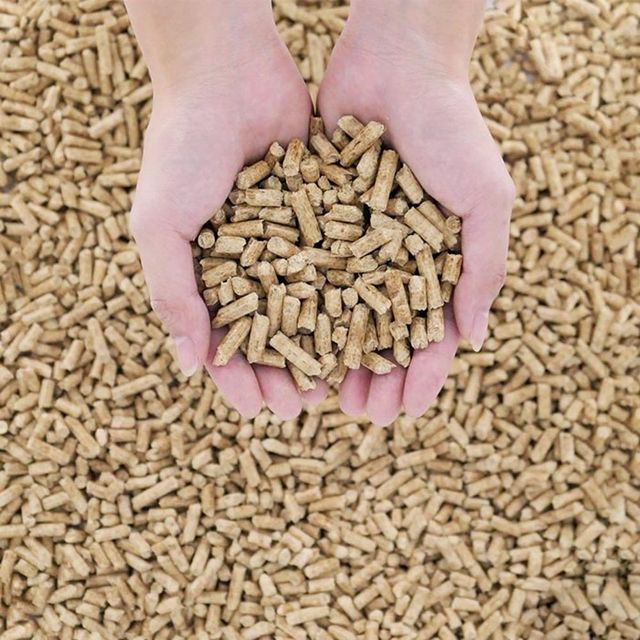 Eco Friendly Wood Pellets High Energy 8mm Wood Pellets For Residential And Industrial Biomass Heating - Image 4