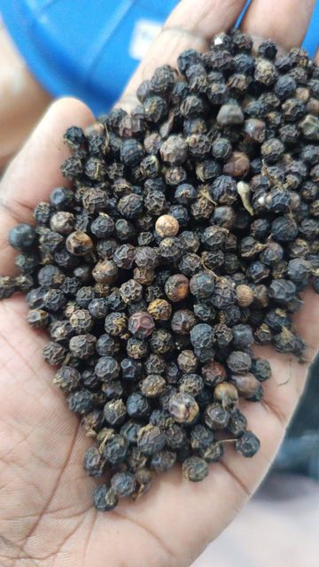 Black pepper 11.5 mm Bold - Image 1