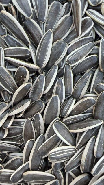 sunflower seeds & kernels - Image 3