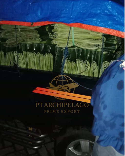 banana leaves / banana leaf Grade High Manufacturer Indonesia Farm Ingredients Banana Leaves (Musa acuminata) Shelf Life 3 to 4 weeks from the harvest period - Image 5