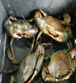 Bulk Frozen Whole King Crabs In Stock Buy Wholesale Cheap Price King Crab Legs For Sale - Image 2