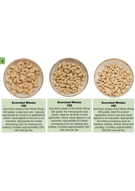 Cashew Kernels - Image 3