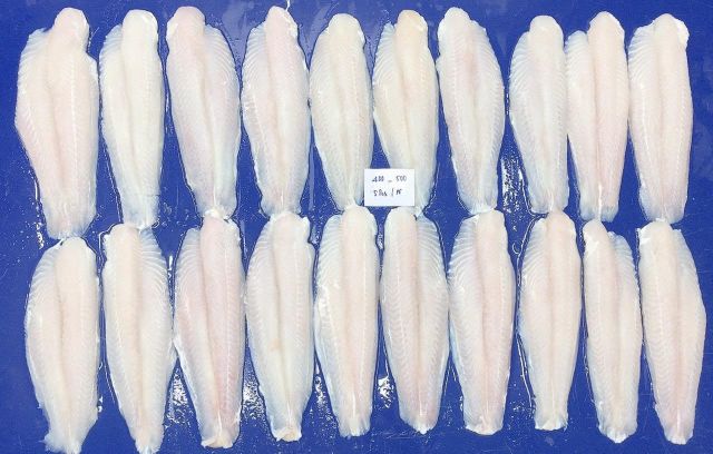 FROZEN PAGASIUS – product photo 2, product detail gallery