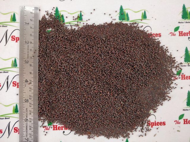 Black Mustard Seeds - Image 2