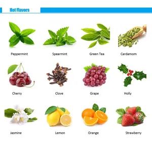 FDA-Halal Holly Flavoring Agent Food Grade B 1L-25L Lawangda LWDHL0311 - Image 3