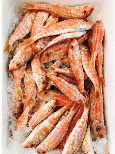 Wholesale Frozen Whole Red Mullet Bulk Supply Premium Quality Top Grade Low-Sugar & Low-Carb Frozen Seafood Cartons - Image 4