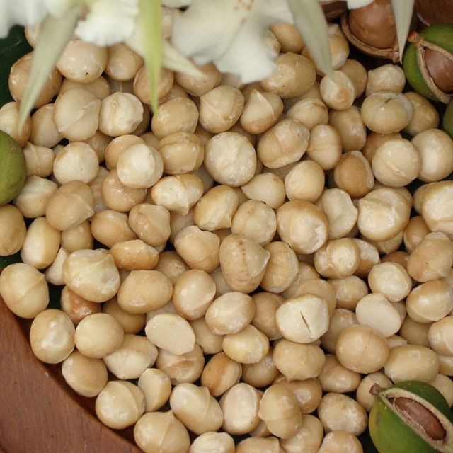 Bulk Premium Macadamia Nuts Fresh Roasted Natural Snack Wholesale Healthy Supply Ideal for Retailers Wholesalers and Export - Image 2