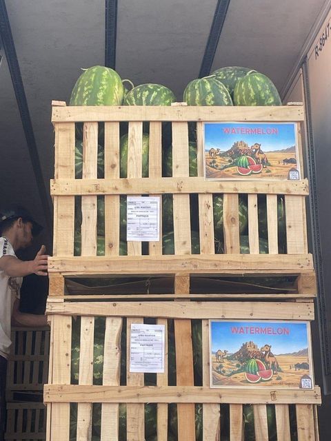 Watermelon Freshness High Origin Morocco Quality Premium Sweetness Excellent Features Gluten-Free Logistics Reliability Professional - Image 3