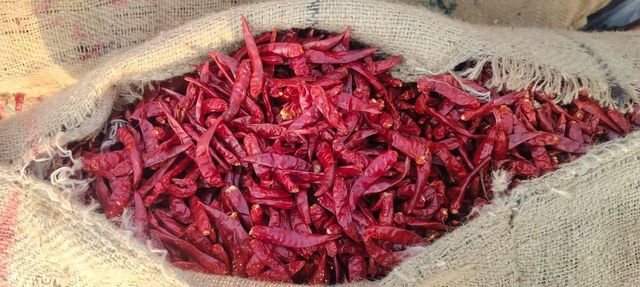 Dried red Chili - Image 4
