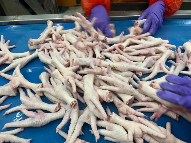Chicken Paws 35grms+ - Image 1