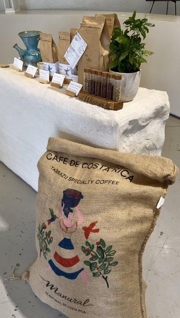 Arabica Coffee - Image 1