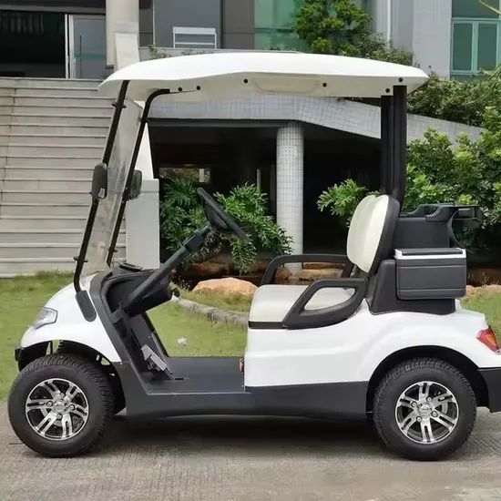 Custom Golf Cart Electric Car Golf Equipment Golf Trolley Service OEM Power 600-1700W Color Customized Battery 8V 6 - Image 6