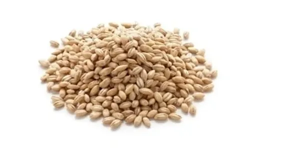 Premium Quality Barley – Nutritious Grain for Livestock Feed & Brewing - Image 1