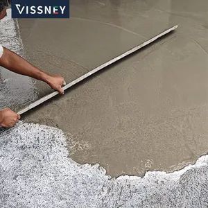 Vissney Innovative Anti Crack Mortar for Versatile Applications in Modern Building Renovation Projects - Image 6
