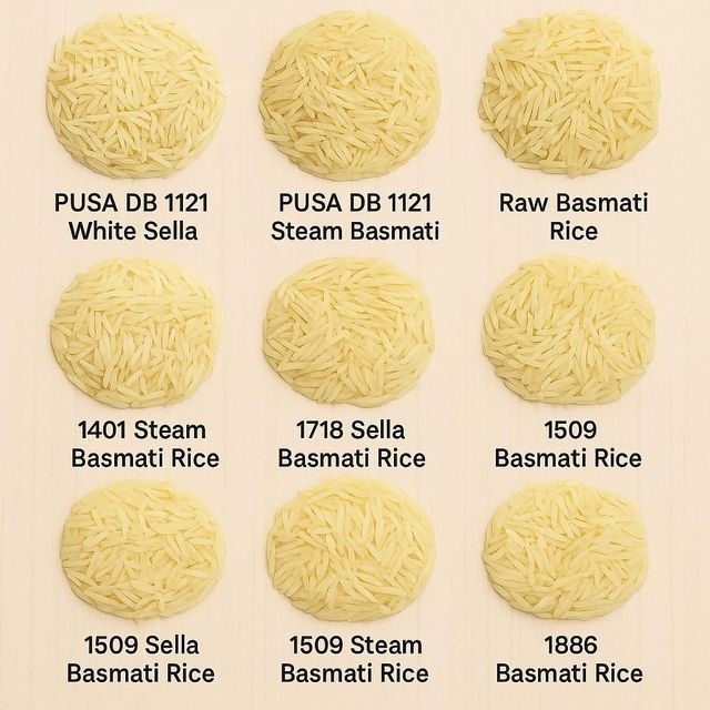 Agriculture, Food & Beverage, Edible Oils cooking oil like RBD Palm Oil CP 10, RBD Palm Olein CP-8 and CP-10, soybean products, paper products tissue paper Kraft Paper cement bags - Image 1