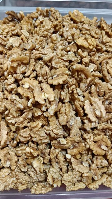 Hand Selected Light Walnut Kernel Bulk Supplier High Oil Premium Export Quality - Image 1