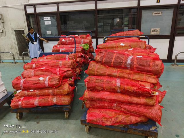 Fresh Banana Leaves Delivery Form Bag Freshness Level Fresh - Image 4