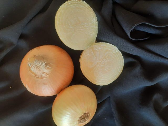 Onions - Image 4